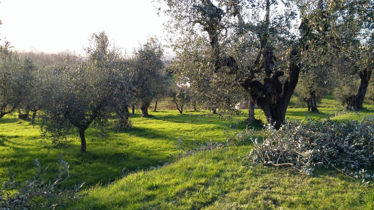 Casa "Il Brio" Villa Pistoia Exterior photo